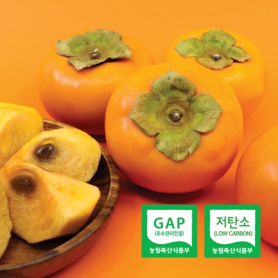 메인배너2